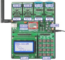TIBBO EM1000W-TEV (LB0+EM1000W), отладочный комплект с WiFi, ЖК: 128х64 моно