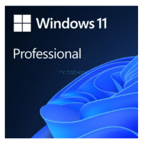 FQC-10547 Операционная система Microsoft Windows 11 Pro, 64 bit, Rus, DVD, OEM